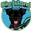 Big Island Pool Services